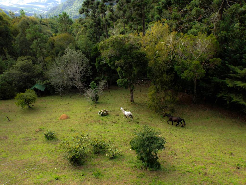 Pousada Marco Polo Campos do Jordão エクステリア 写真