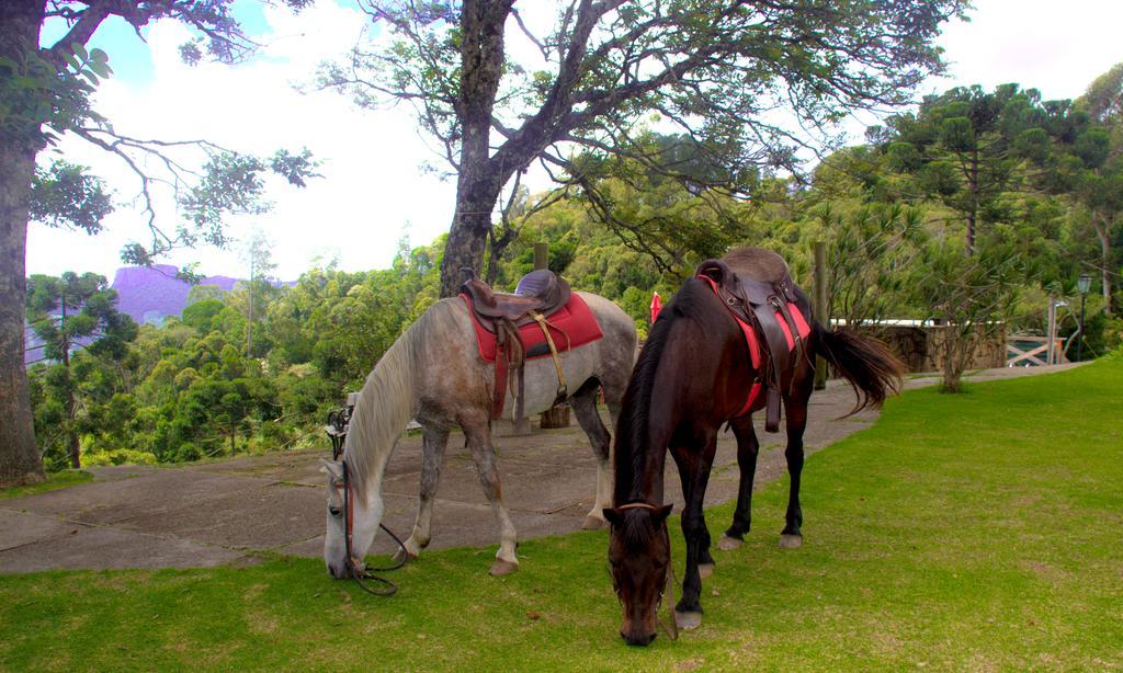 Pousada Marco Polo Campos do Jordão エクステリア 写真