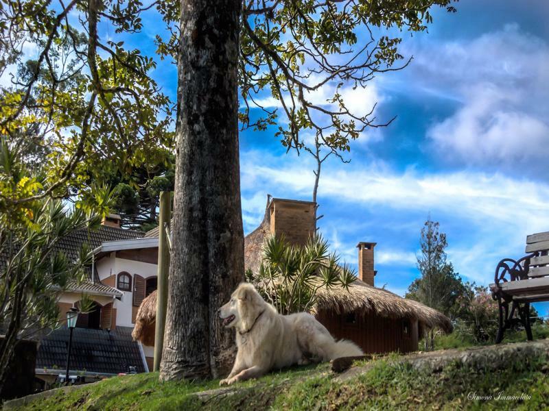 Pousada Marco Polo Campos do Jordão エクステリア 写真