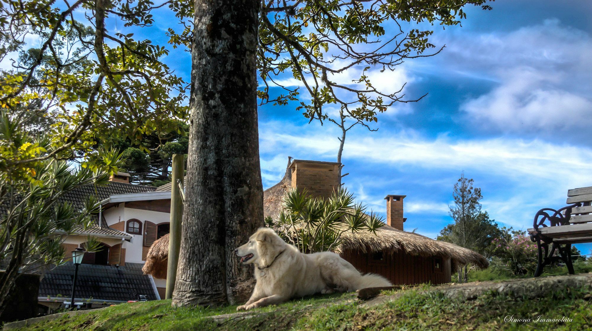Pousada Marco Polo Campos do Jordão エクステリア 写真